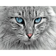Картина по номерам Взгляд котика, Strateg (40х50 см)